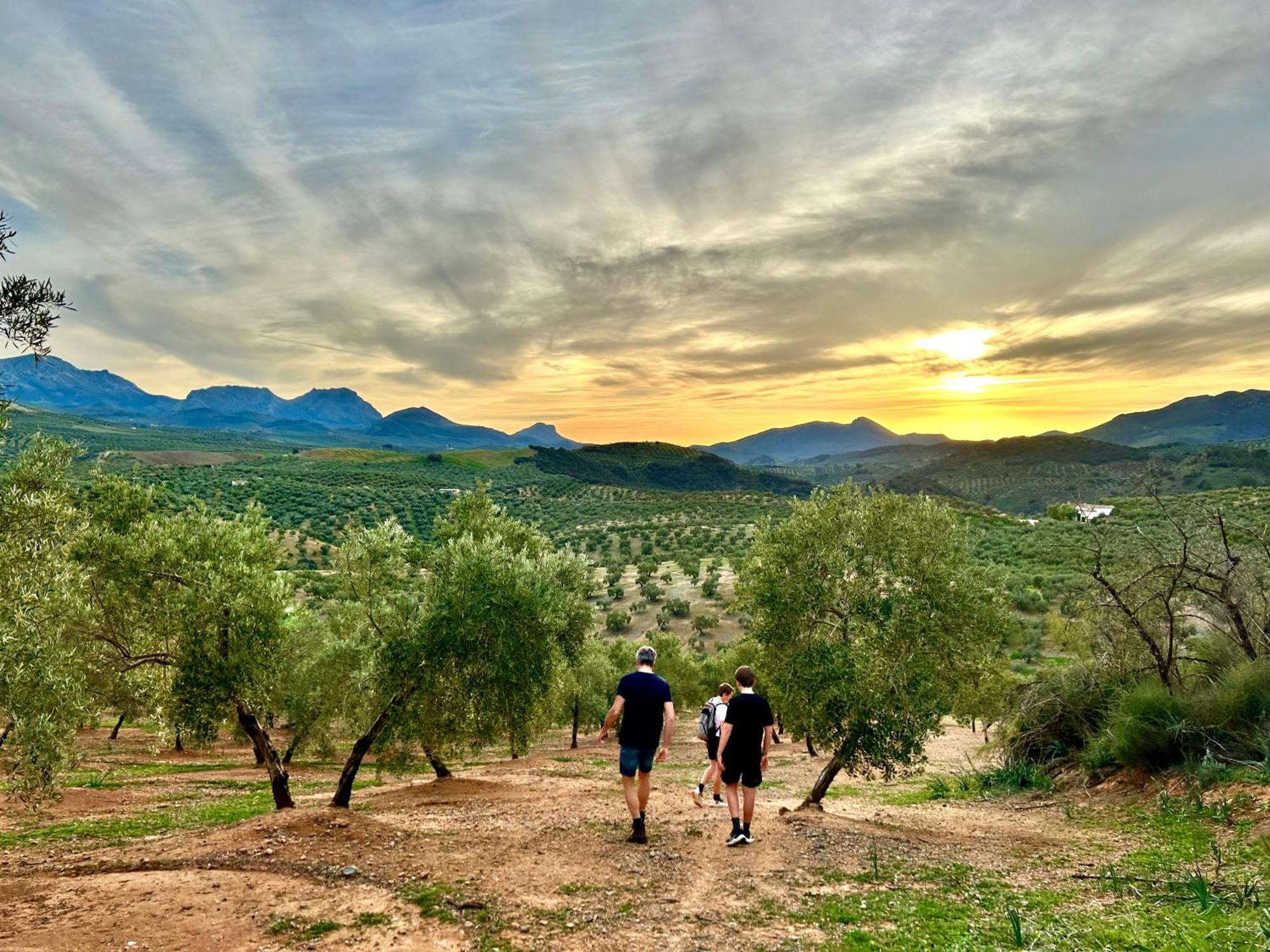 Hacienda El Tarajal Hotel Priego de Córdoba