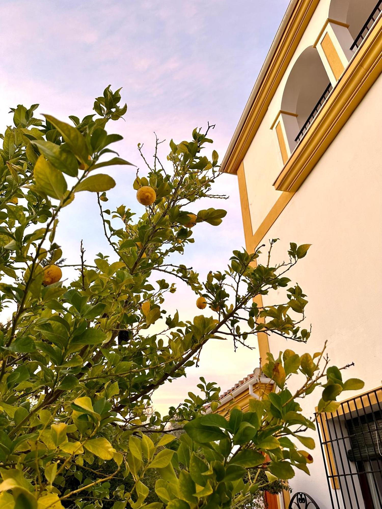 Hotel Hacienda El Tarajal